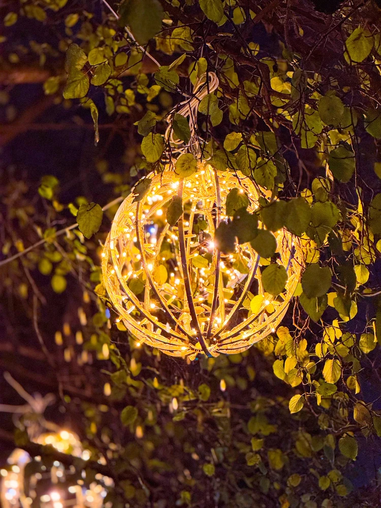 Image uploaded by Dan