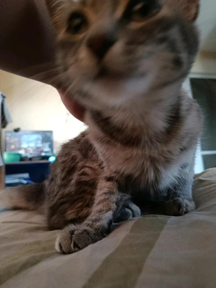 Imagen subida por Thomas