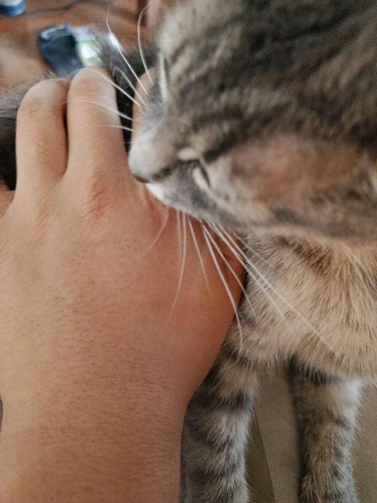 Imagen subida por Thomas