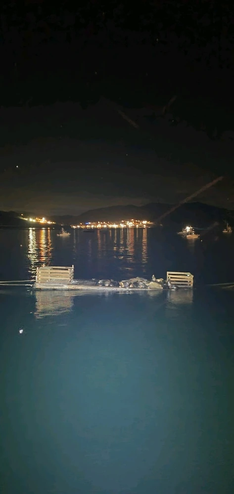 Image uploaded by Conlan