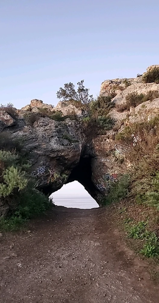 Image uploaded by Conlan