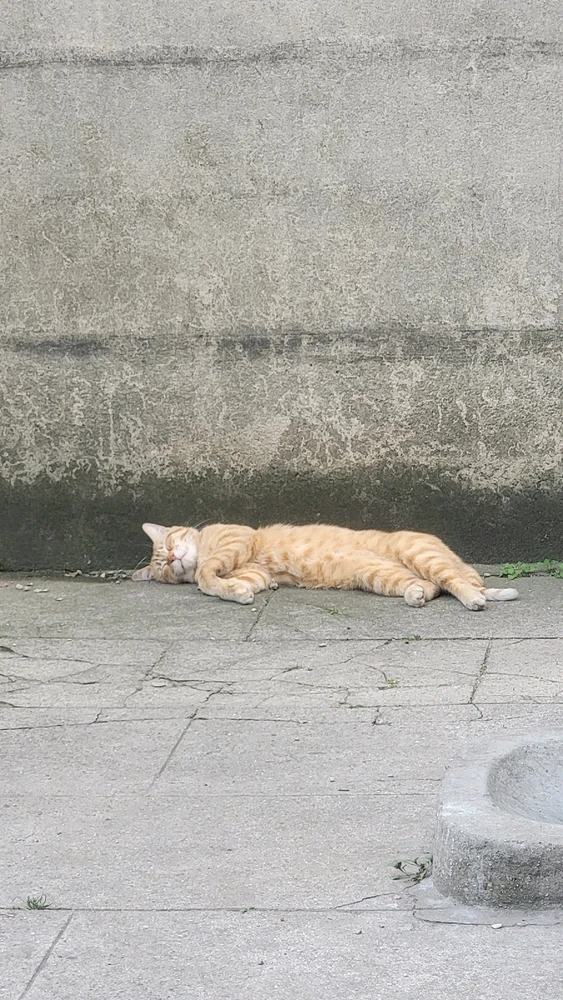 Image uploaded by Nikole