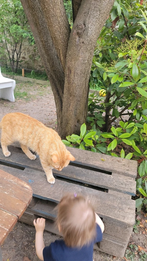 Image uploaded by Nikole