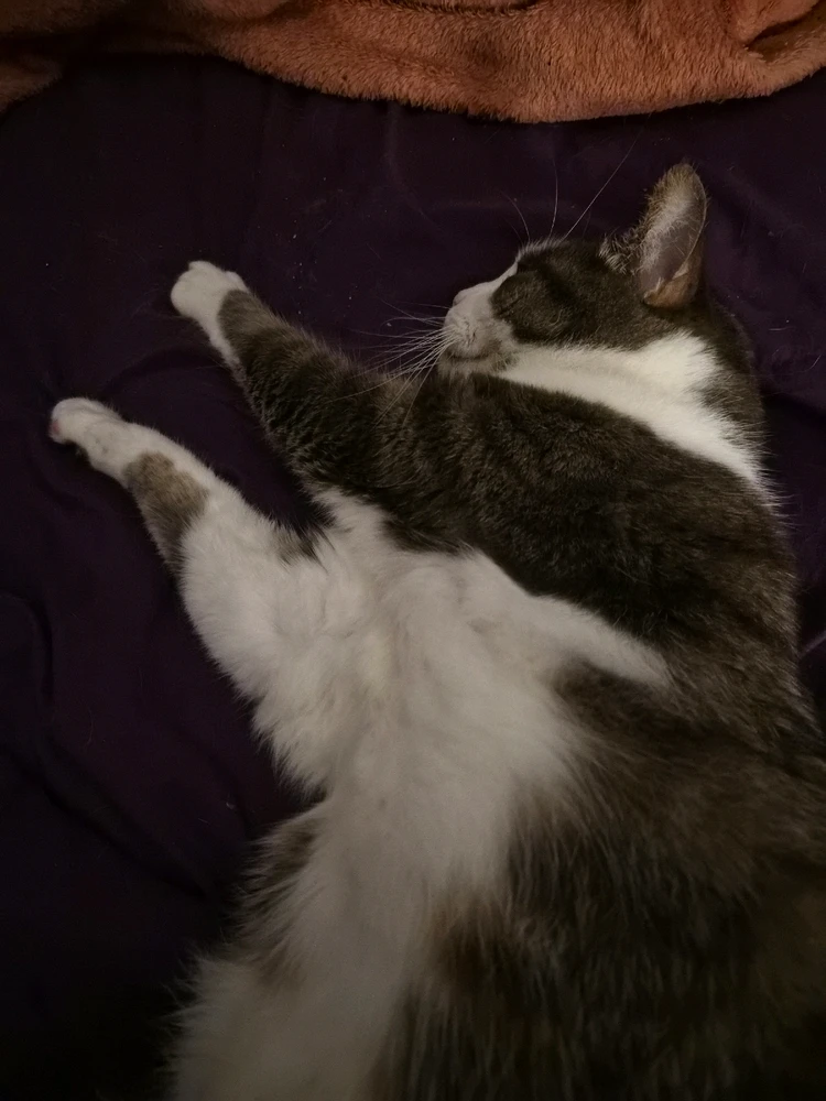 GIF ajouté par Elliot