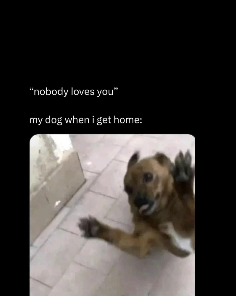 GIF uploaded by Eitvydas