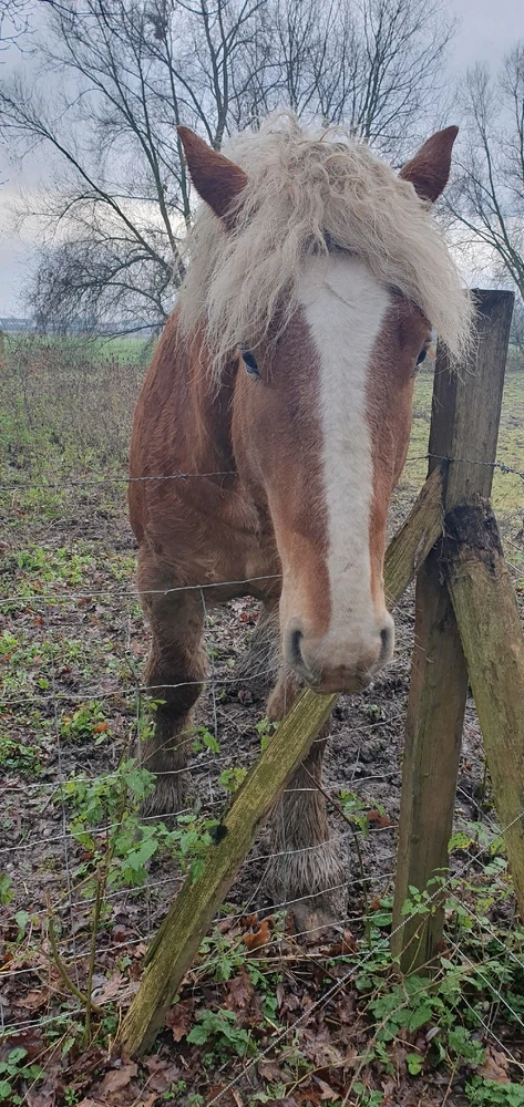 Image ajoutée par Samael