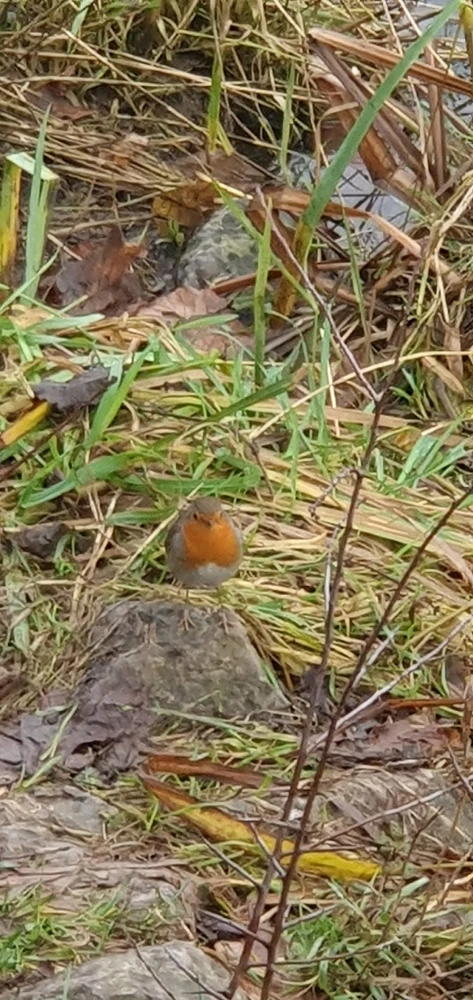 Image ajoutée par Samael