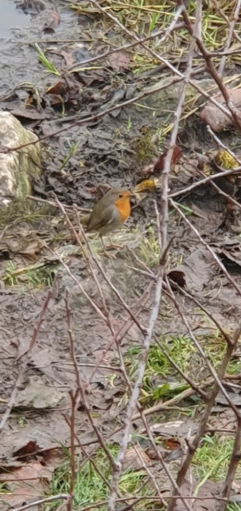 Image ajoutée par Samael