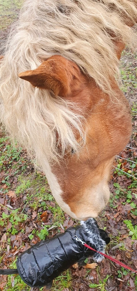 Image ajoutée par Samael