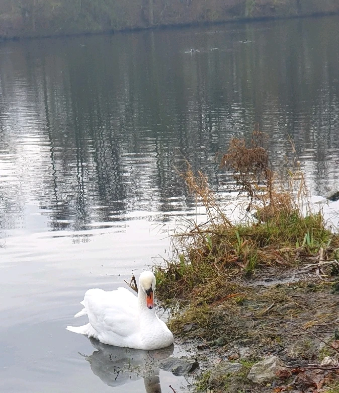 Image ajoutée par Samael