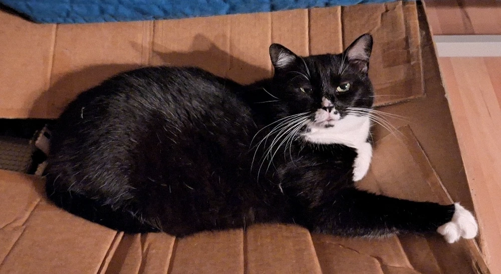 Bild hochgeladen von Tom