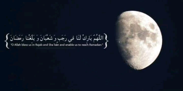 GIF uploaded by Eldo Bosnali