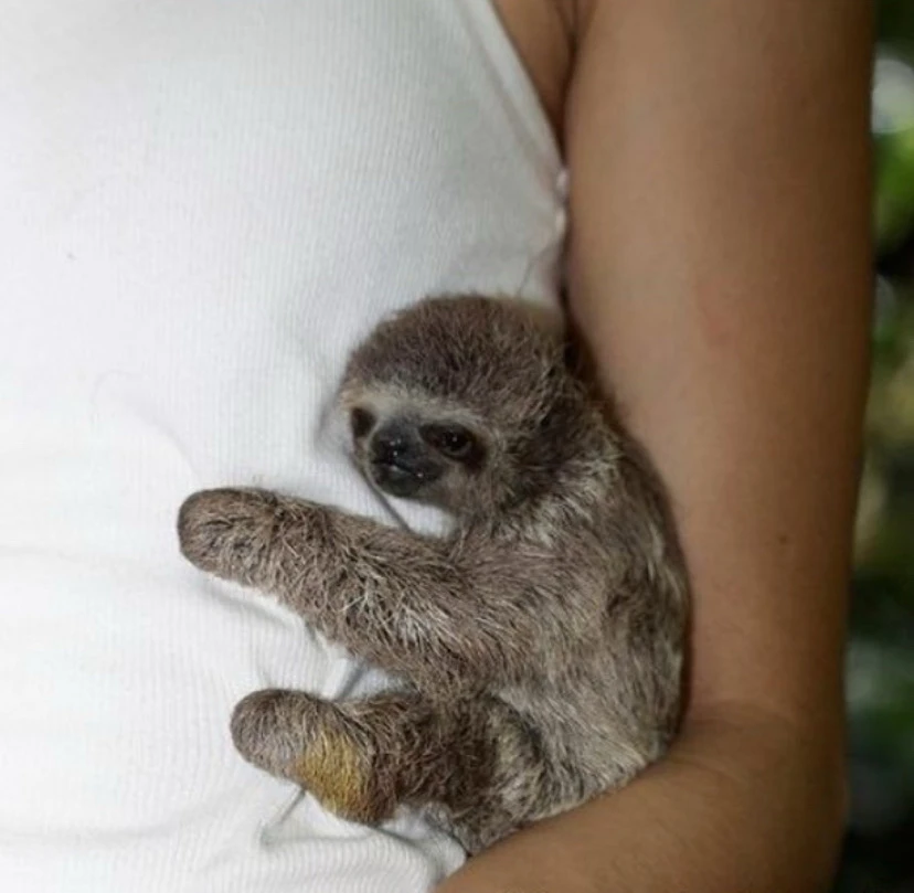 GIF hochgeladen von Lorenzo