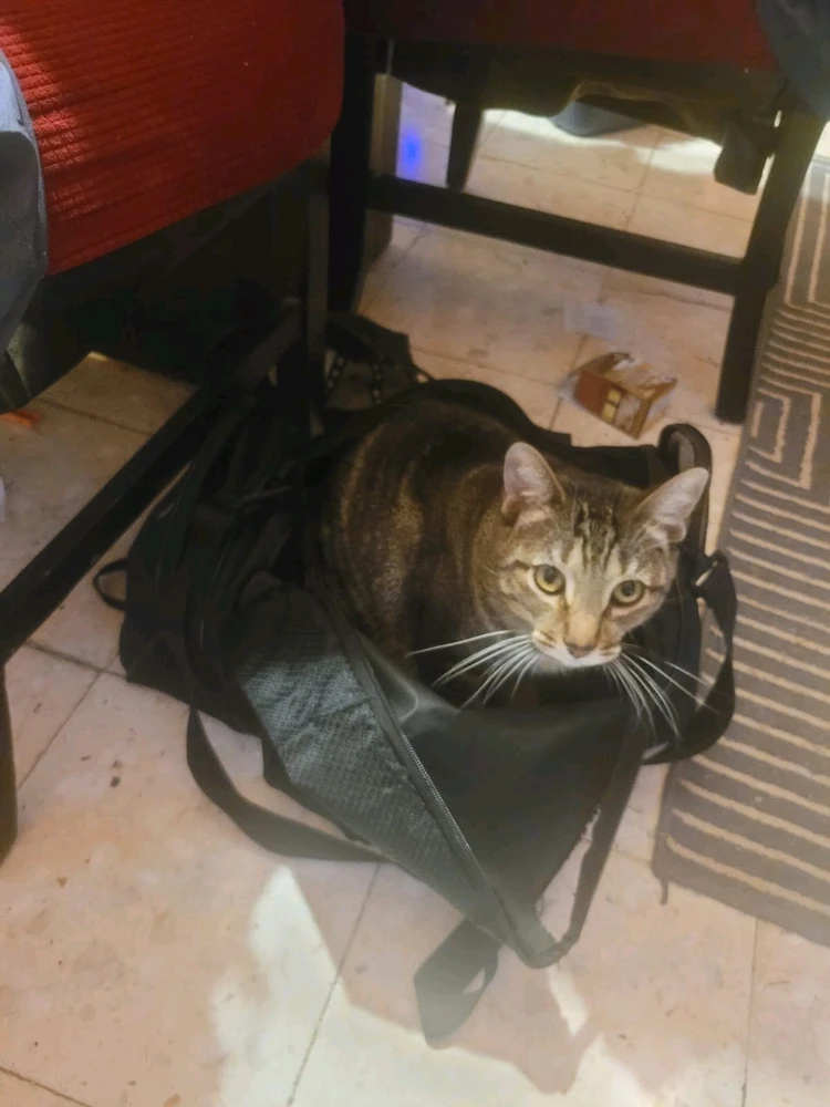 Imagen subida por Diego