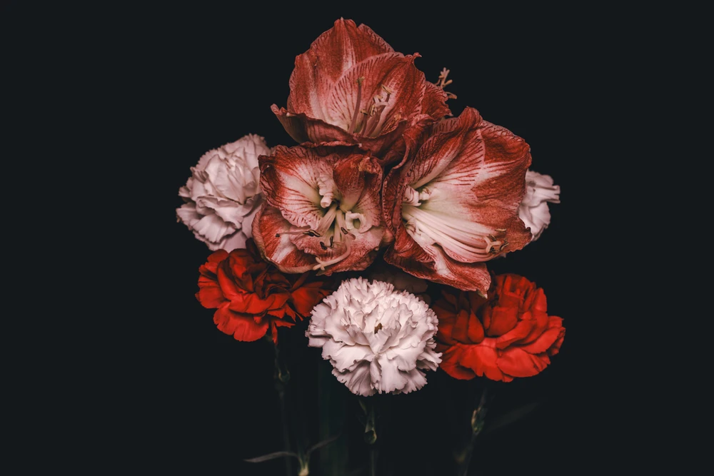 Image uploaded by Mikko