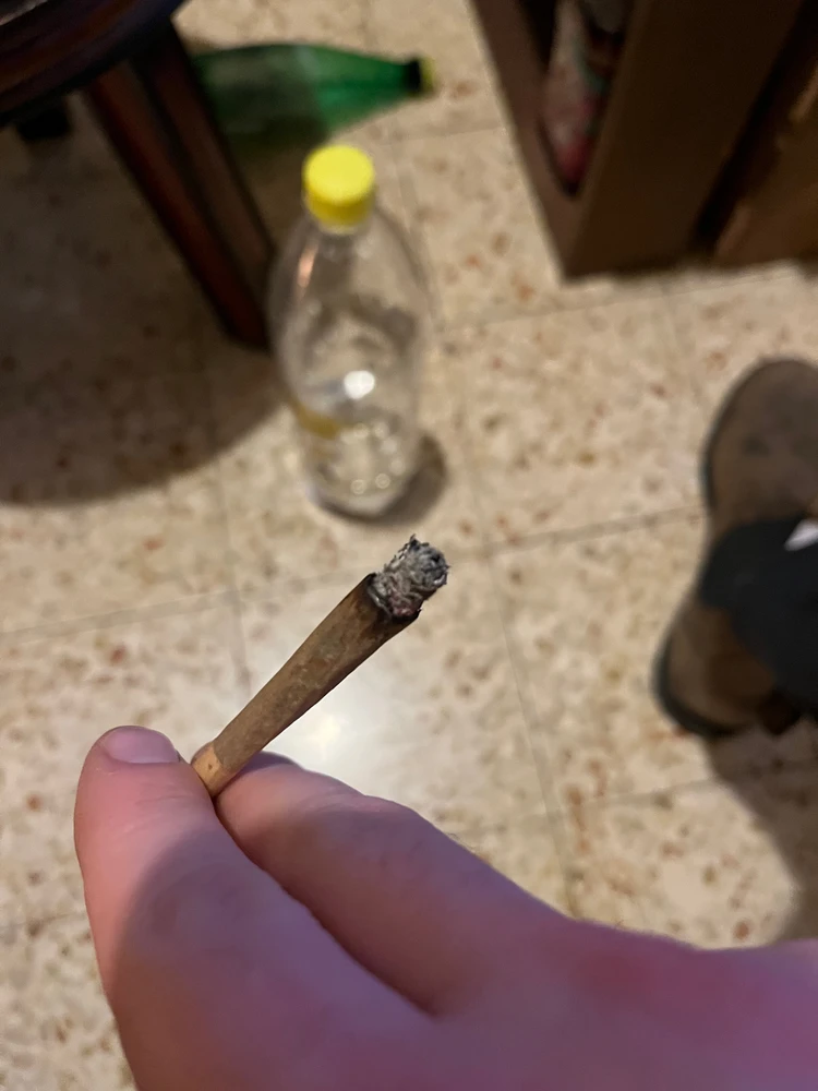 GIF uploaded by דניאל כץ