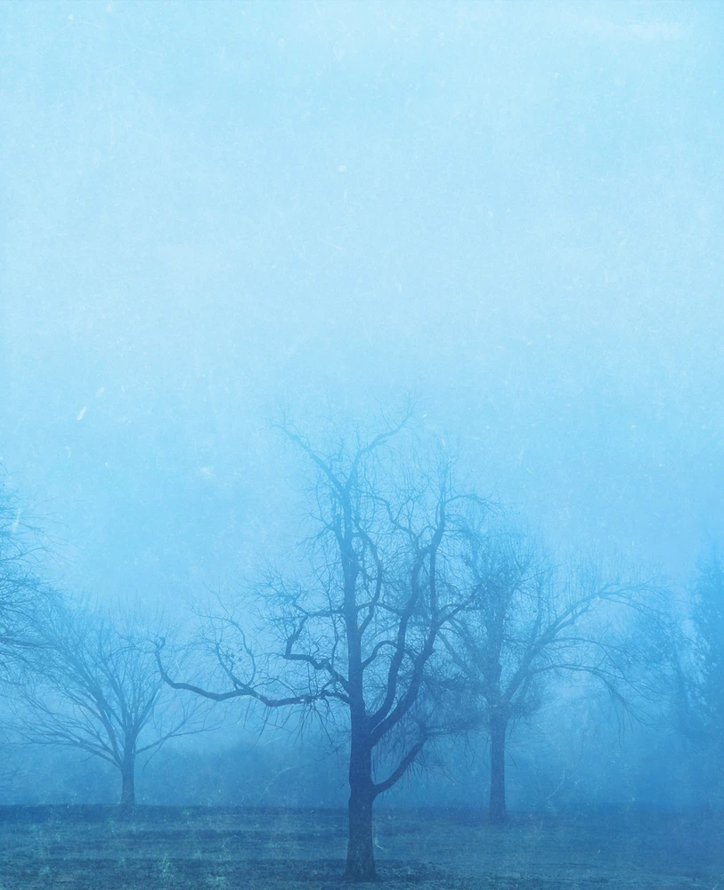 GIF uploaded by Ryan