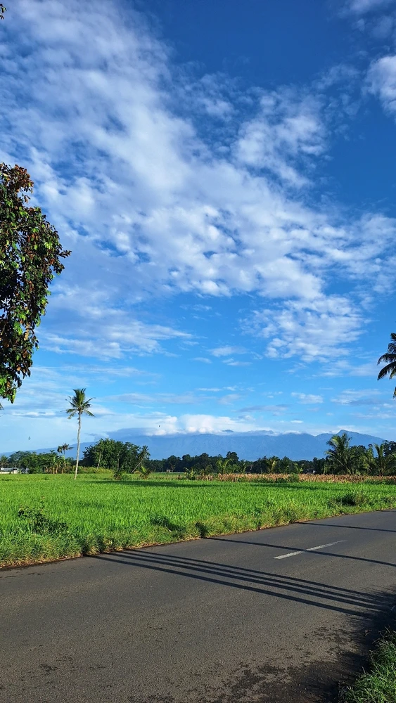 Image uploaded by Pixie