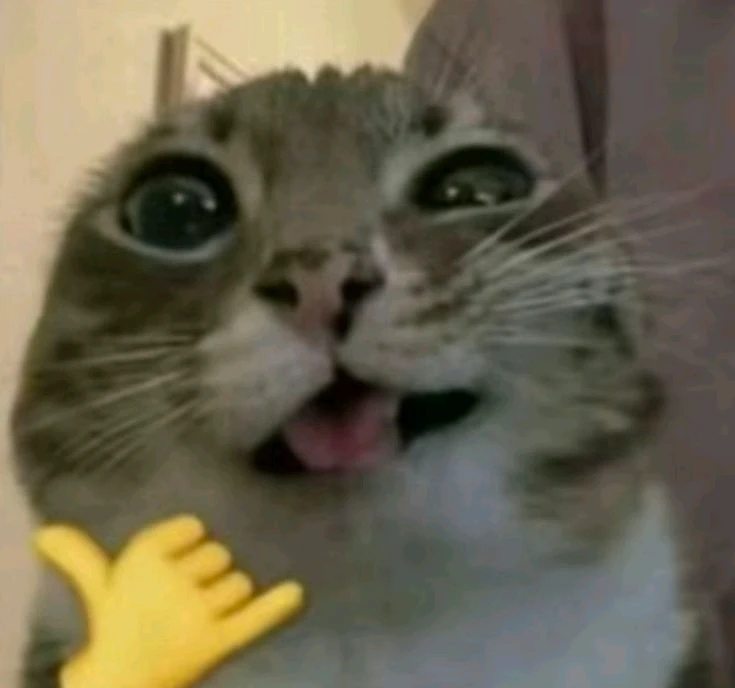 Image uploaded by Aila