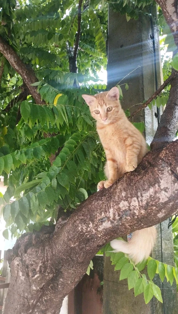 GIF uploaded by Jellyfish