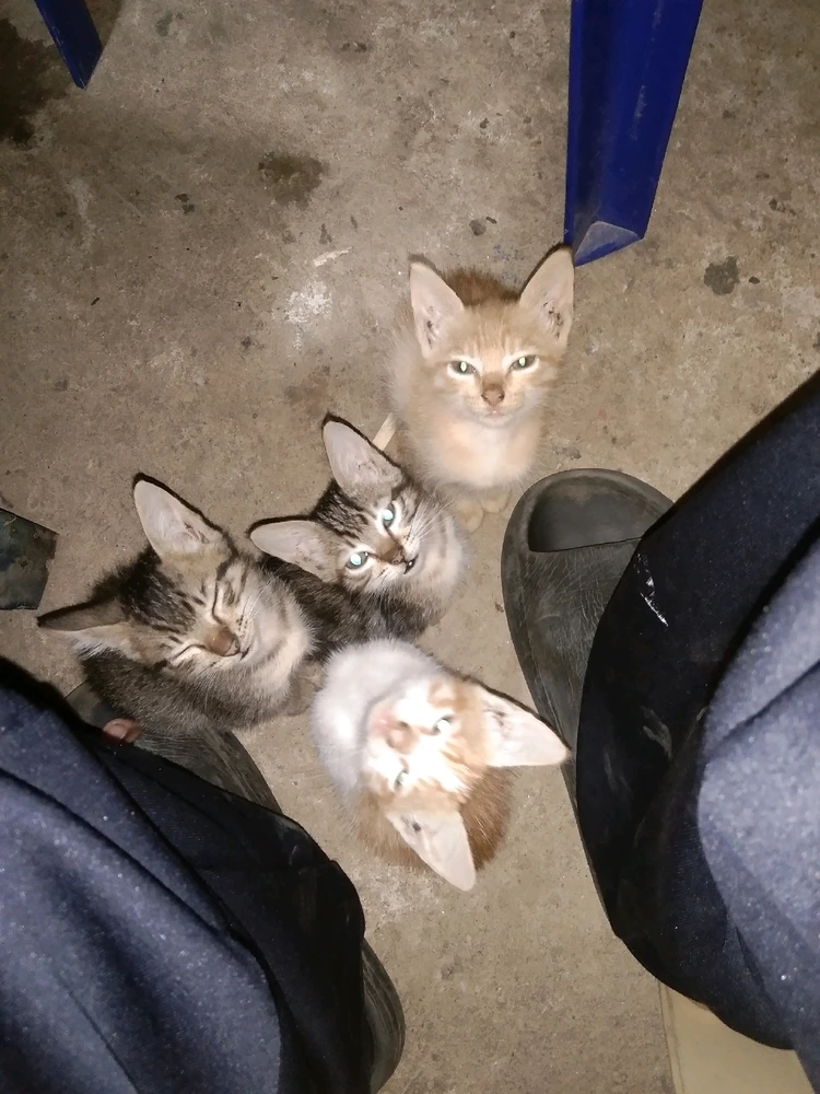 Image uploaded by Obadiah