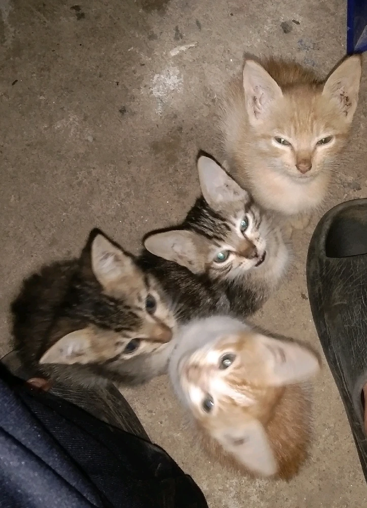 Image uploaded by Obadiah