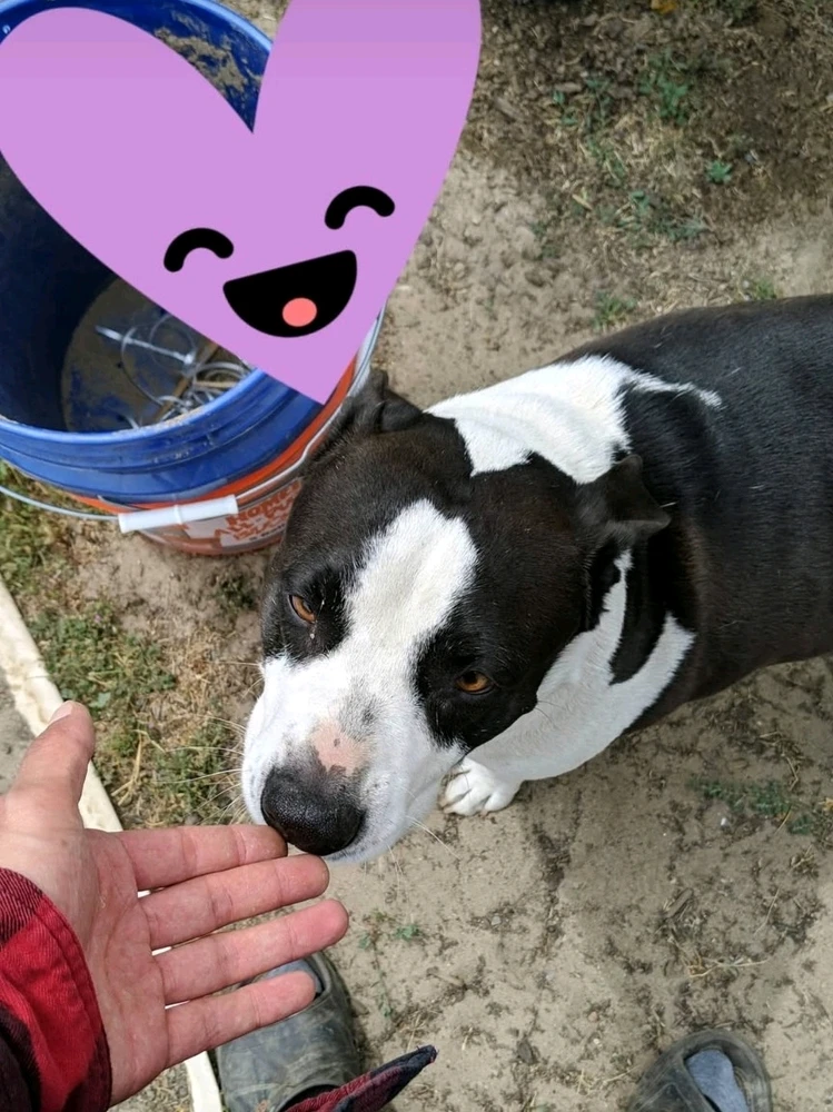 Image uploaded by Joseph