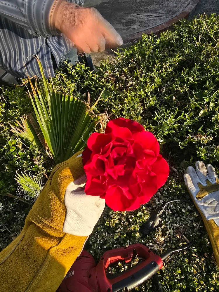Image uploaded by Alex