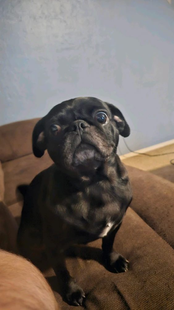 Image uploaded by Christian