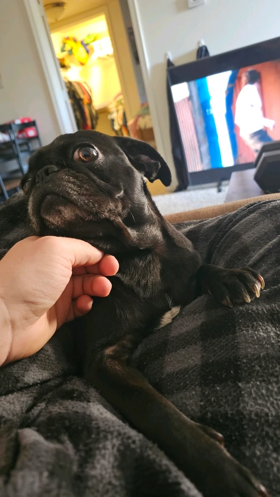 Image uploaded by Christian