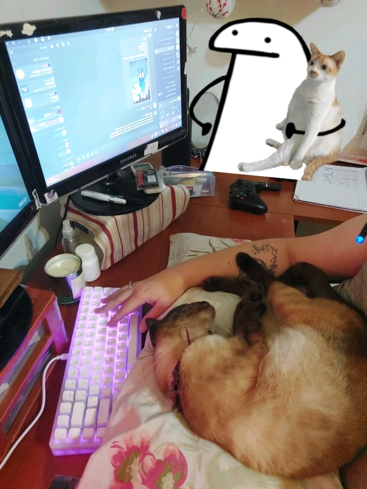 GIF subido por Akira