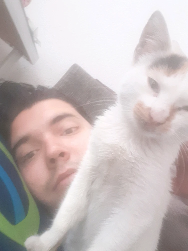 Image uploaded by David