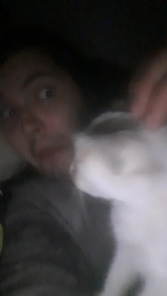 Image uploaded by David