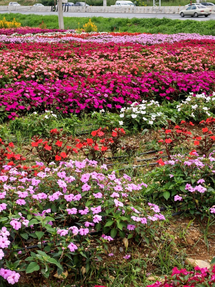 Image uploaded by Tann