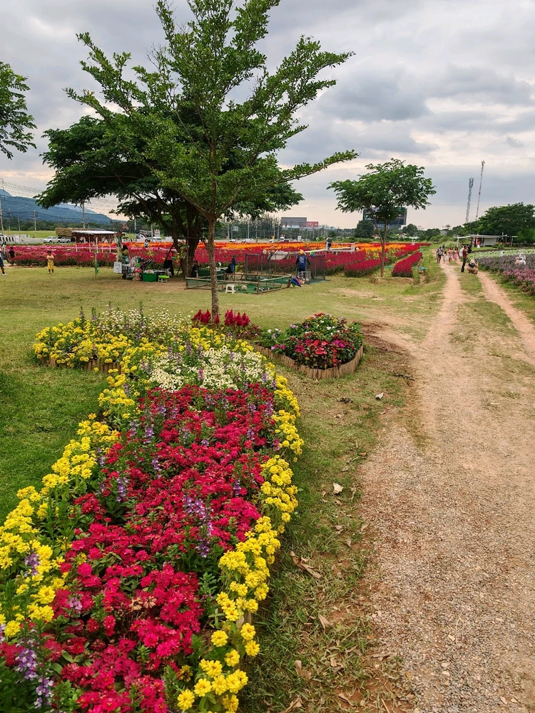 Image uploaded by Tann