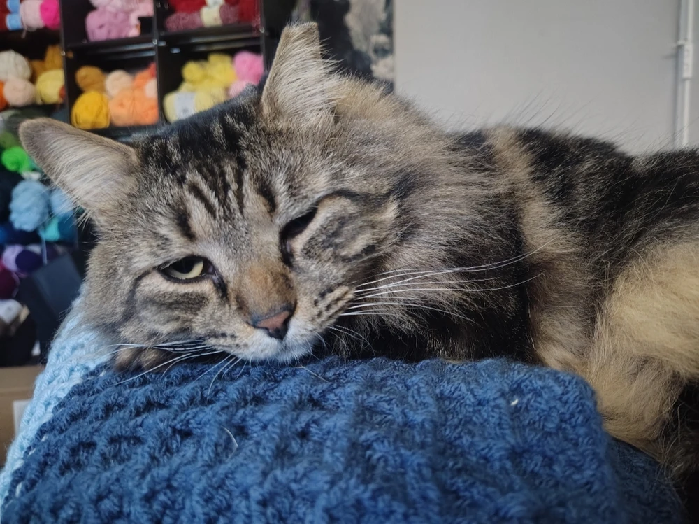 Image uploaded by Rain