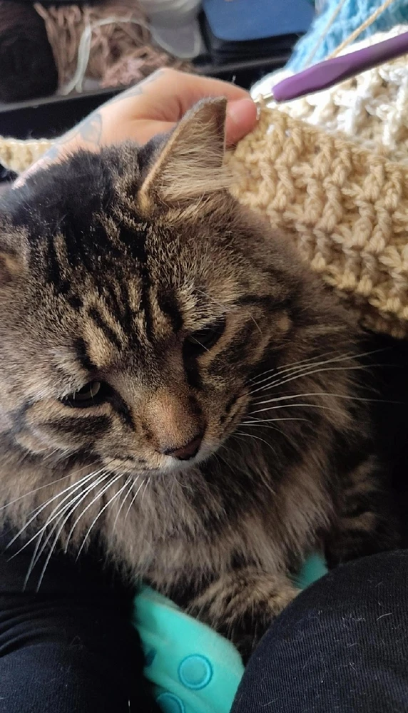 Image uploaded by Rain