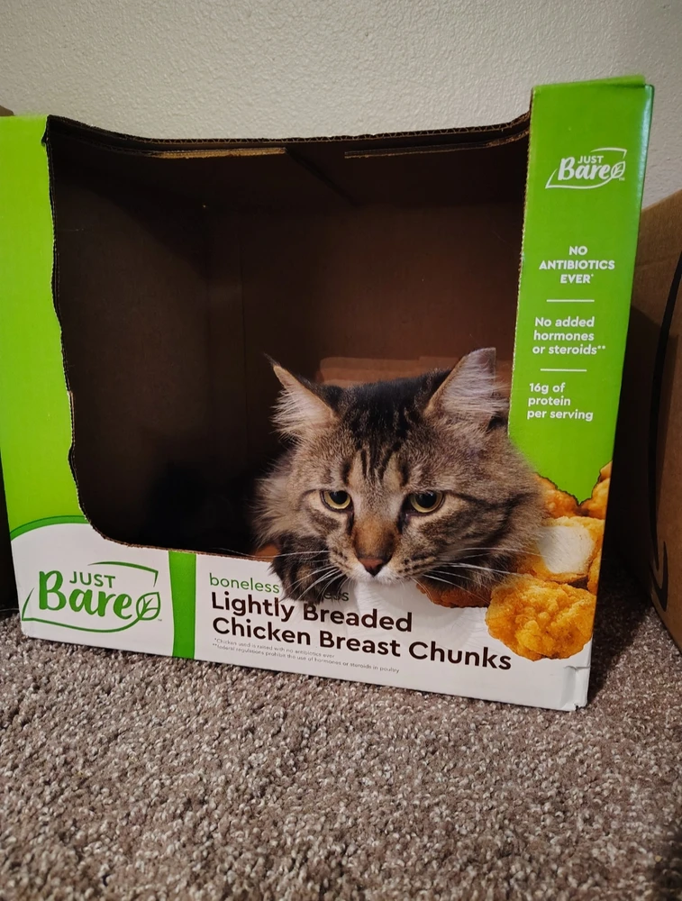 Image uploaded by Rain