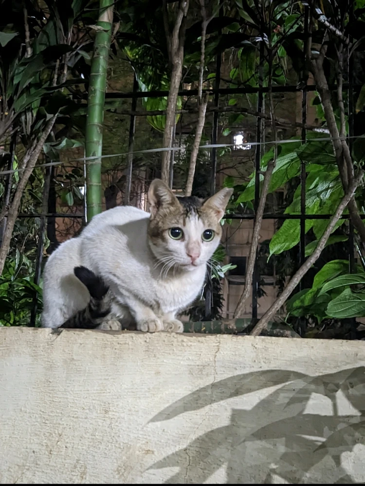 Image uploaded by Christopher