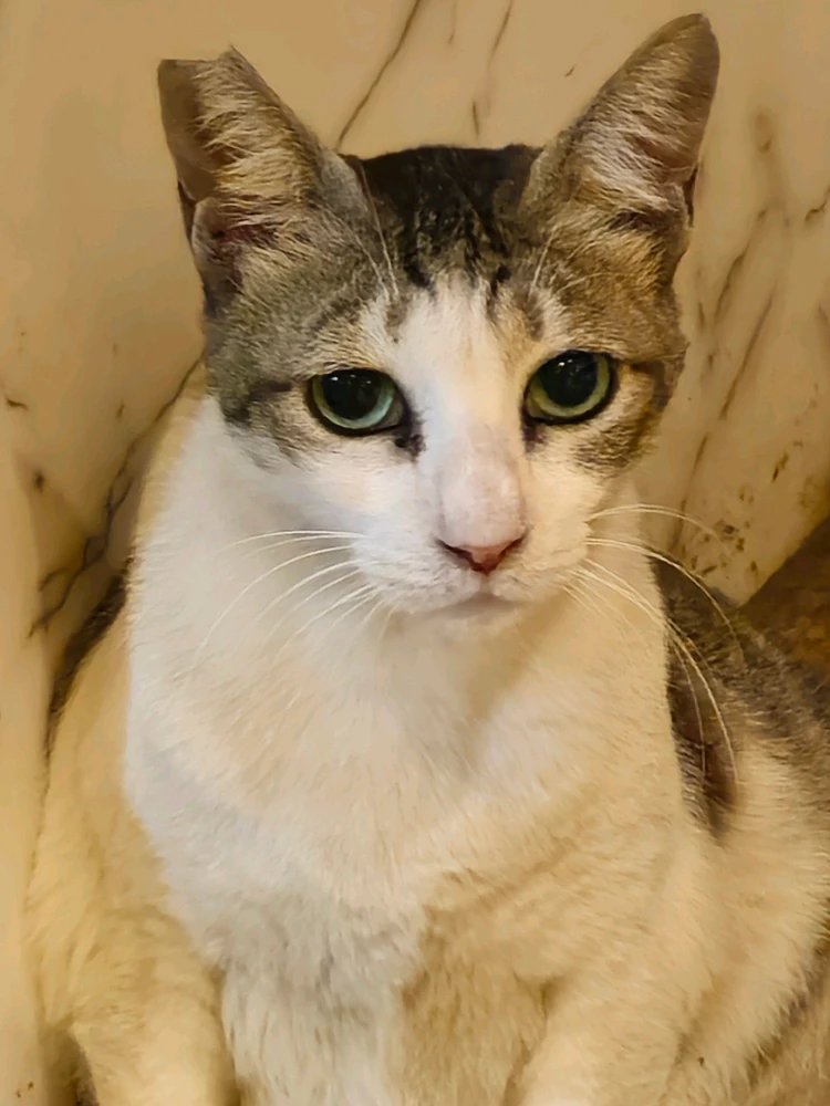 Image uploaded by Christopher