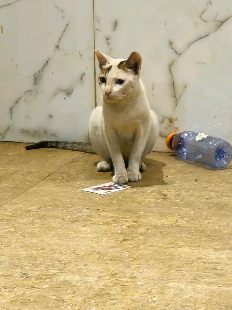 Image uploaded by Christopher