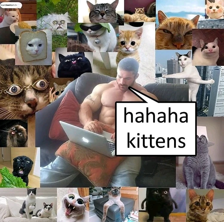 GIF subido por Joseph