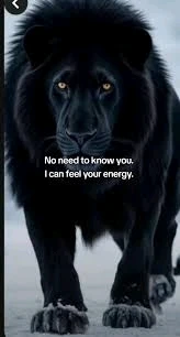 GIF uploaded by Serafina