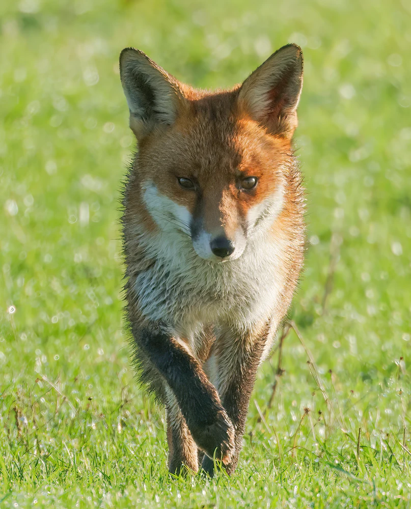 Image uploaded by Richard