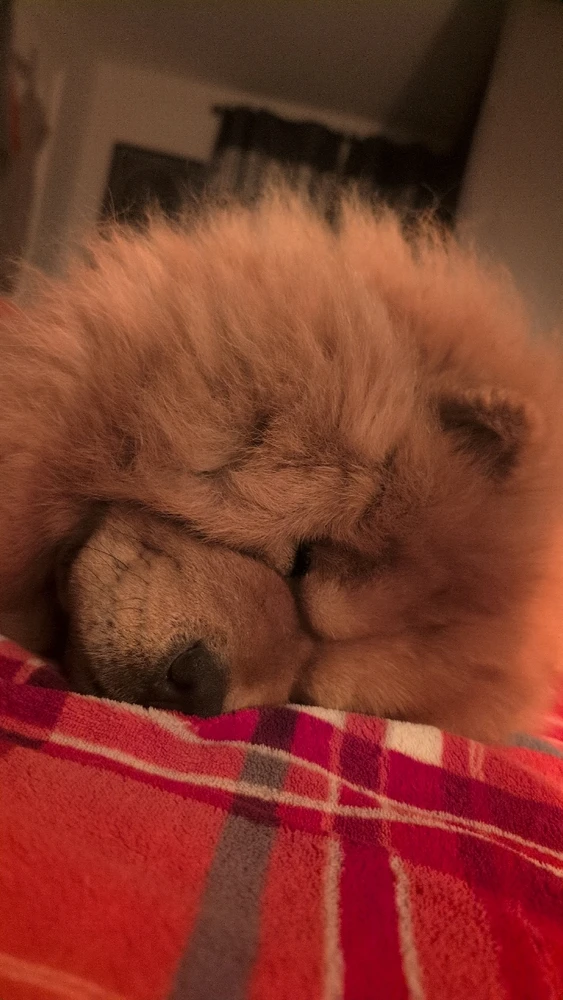 GIF uploaded by Lewis