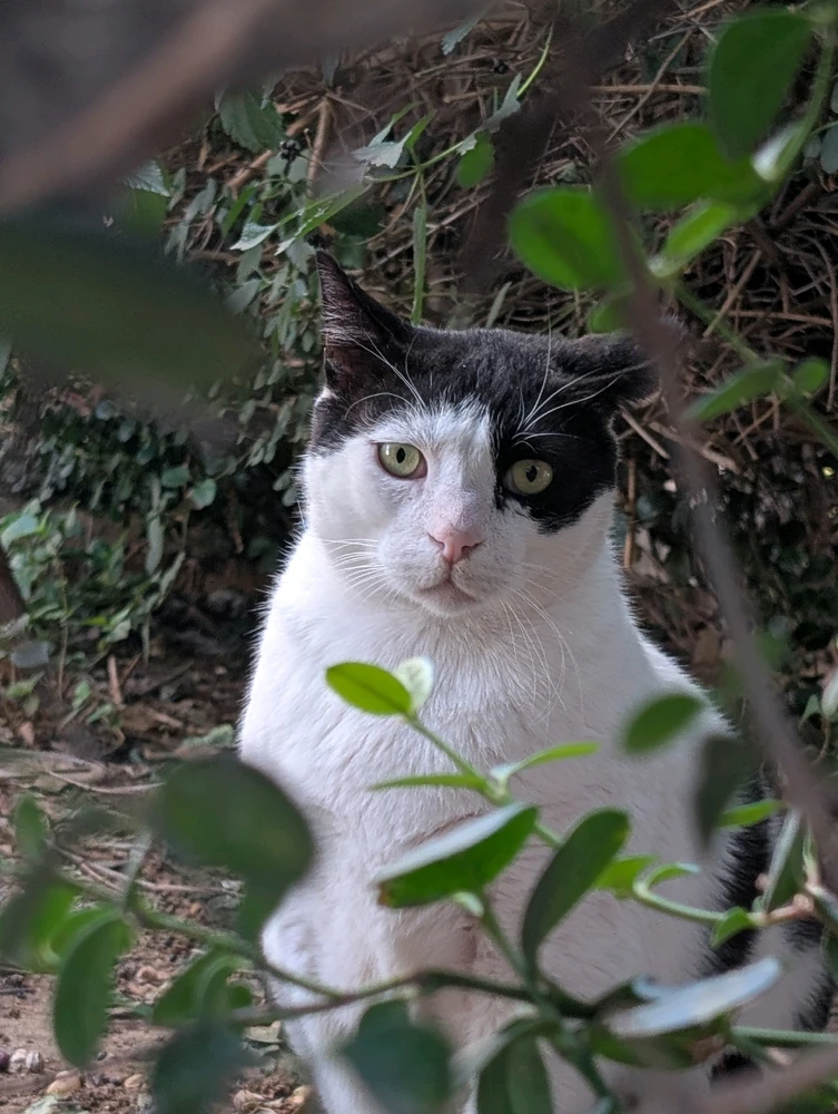 GIF uploaded by Aviv