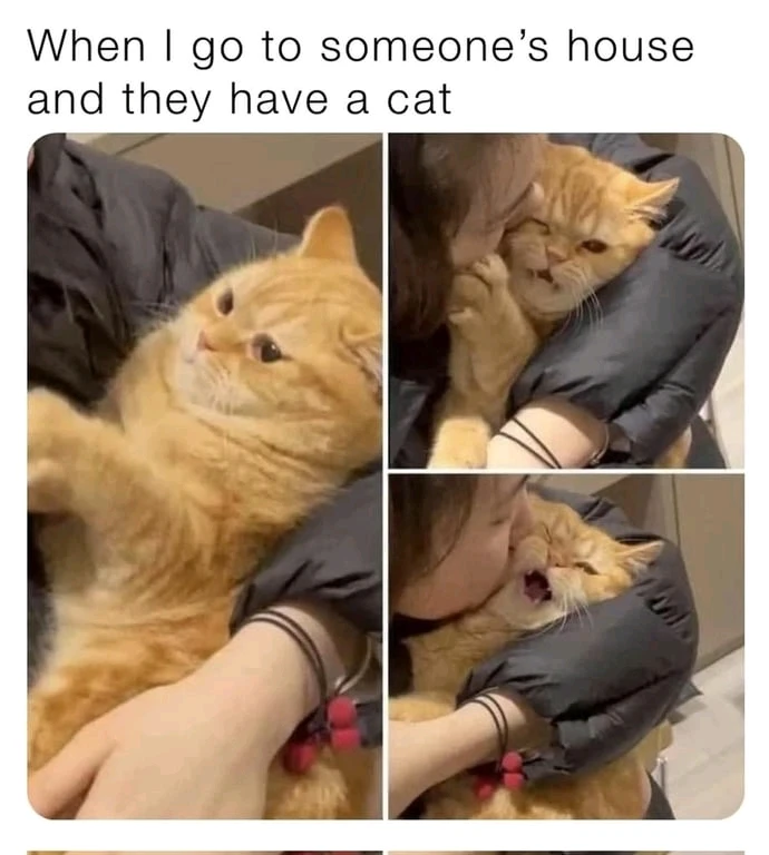 GIF uploaded by Hector