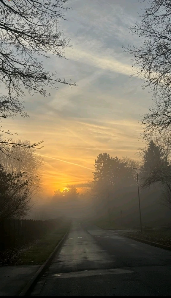 GIF ajouté par Edouard