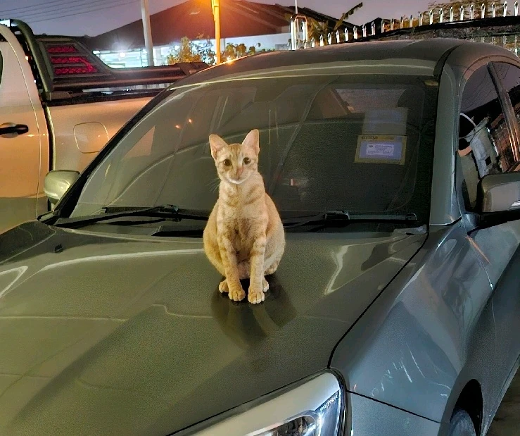 GIF uploaded by Jane