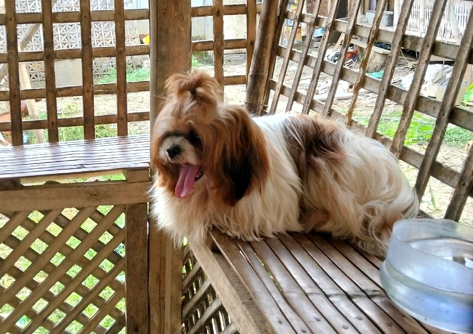 GIF uploaded by Grace